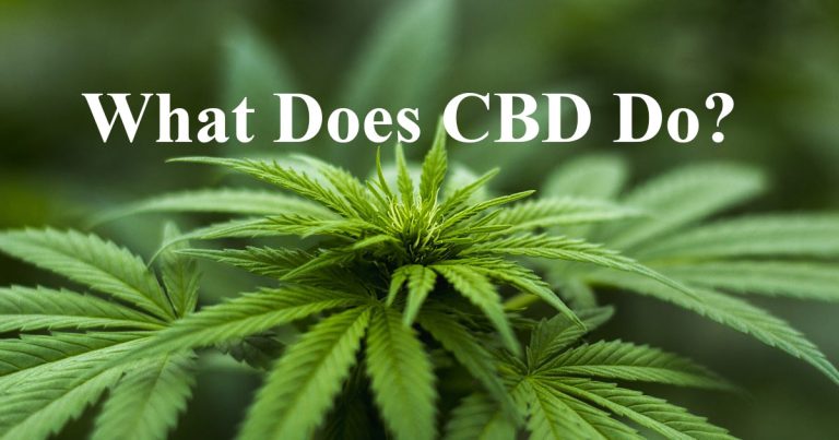 What Does CBD Do To You? What You Need To Know